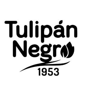 Tulipan Negro